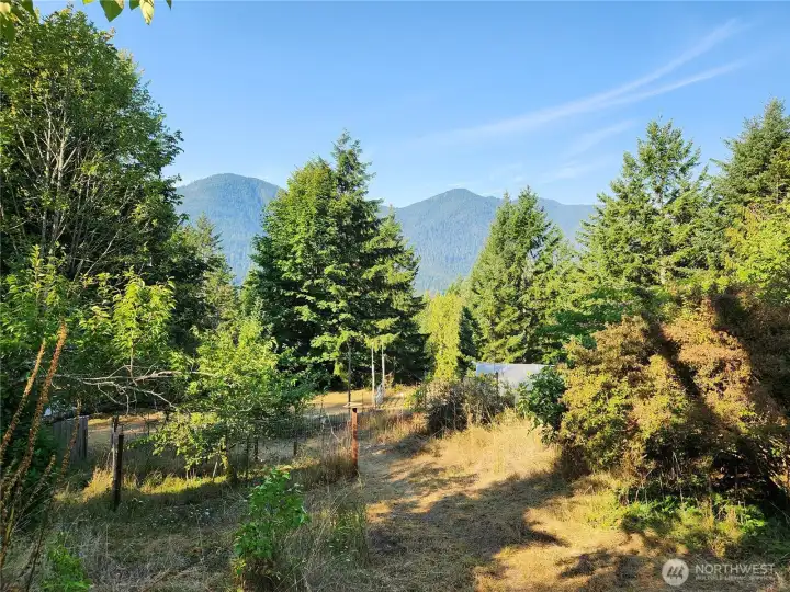 mountain views overlooking the garden area and apple tree