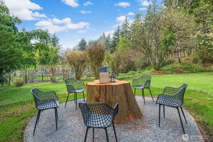 Cozy around tree stump table in back yard!