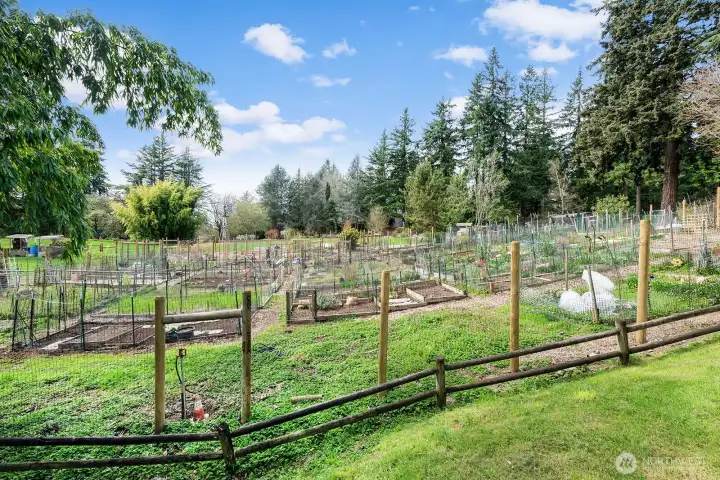 Community Park behind property.