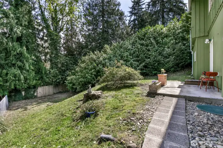 lots of space in the backyard