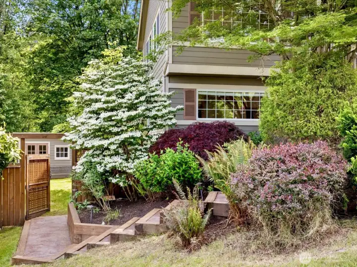 Side yard - glorious plantings!