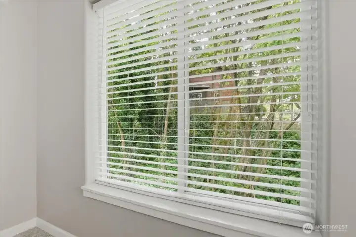 primary suite window primary suite window