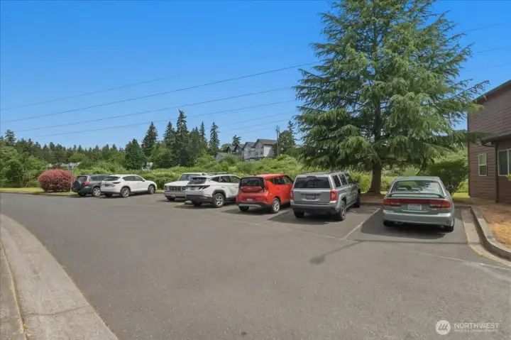 overflow parking overflow parking