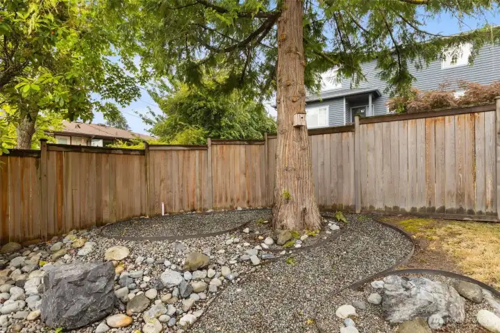 Fully Fenced yard for Pets and Play Fully Fenced yard for Pets and Play