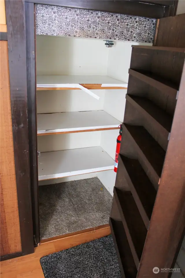 Pantry under stairs to living room