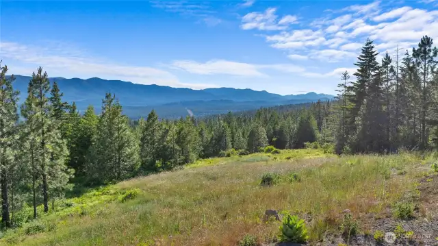 180 degrees of views from your future home!