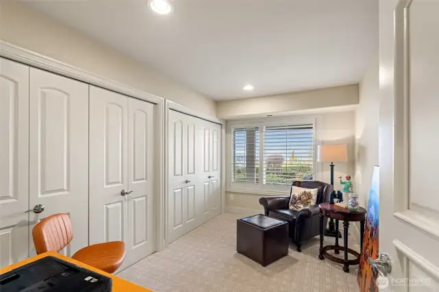 3rd lower level bedroom.