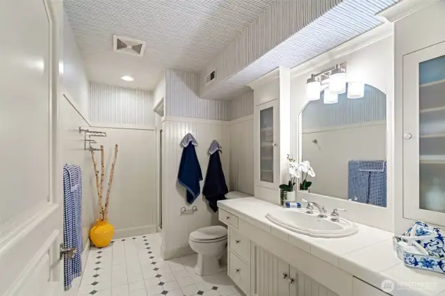 Lower level hall bath.
