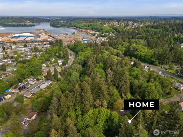 The property, downtown Shelton and industrial area, Hammersley Inlet/Oakland Bay.  If you squint, in the distance you can see Mt. Rainier