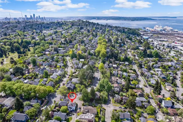 Great location close to Downtown, SLU, the bus line and so much more!