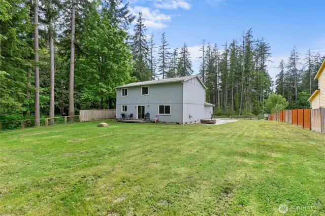Large Backyard
