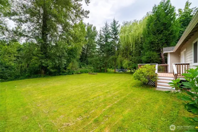 Spacious backyard