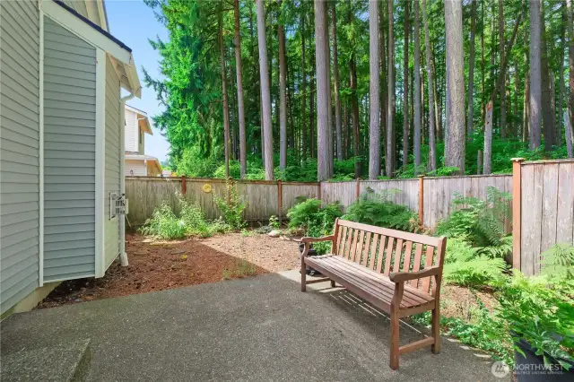 What a sweet spot to relax, surrounded by native plants and tall evergreens.