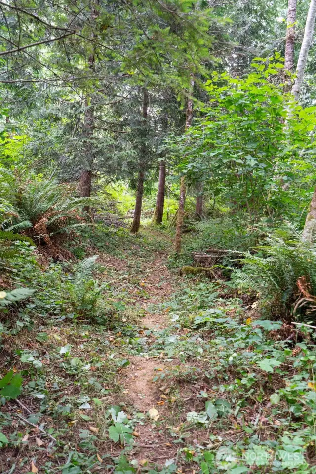 Trail onto Port Blakely
