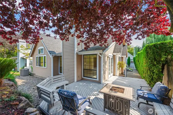 Back Deck