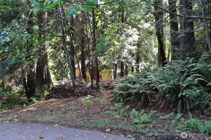 Access to property off easement.