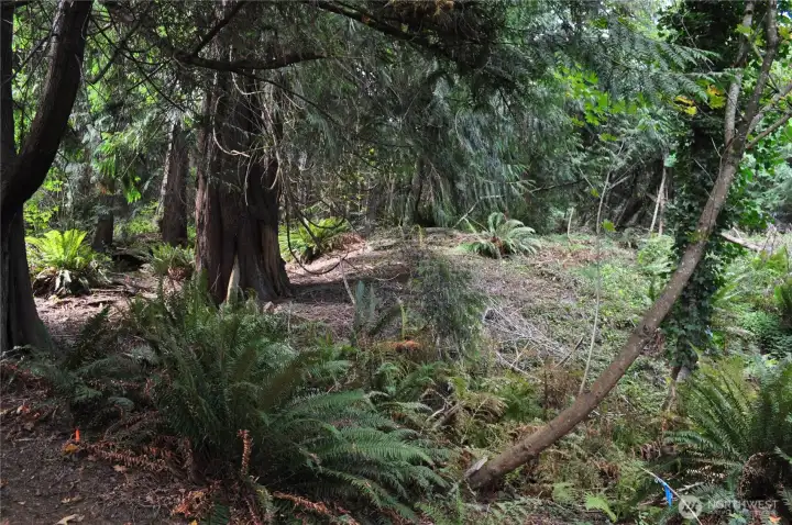 Looking up lot from water area.