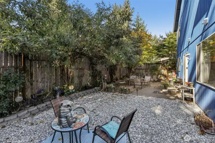 Private back yard