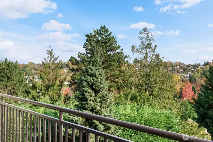 The fall colors are starting to spread throughout the area.