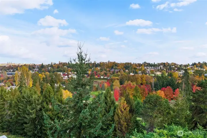 Fall colors on the golf course are goreous every year.