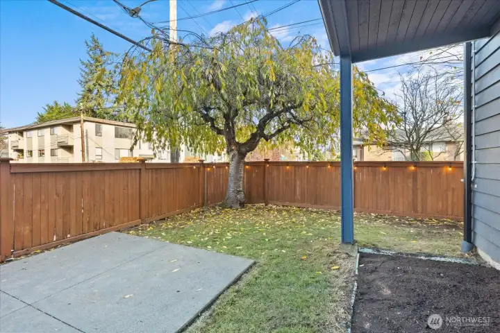 Fully Fenced and Landscaped yard!