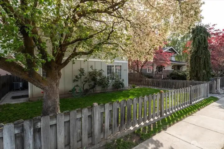Fenced and landscaped yard.
