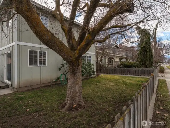 Exterior view of landscaped, partially fenced yard.