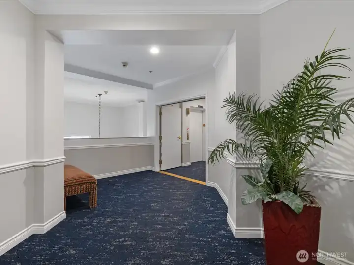 Interior hallway with controlled access, elevator service, and maintained common areas connecting residential units within the building.