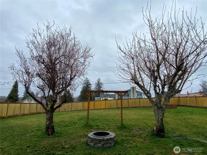 backyard. backyard.