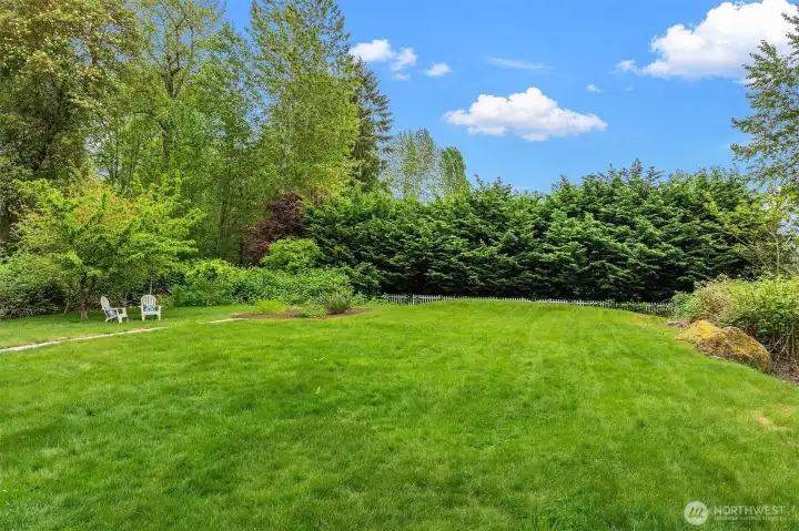 View of private backyard from kitchen window. View of private backyard from kitchen window.