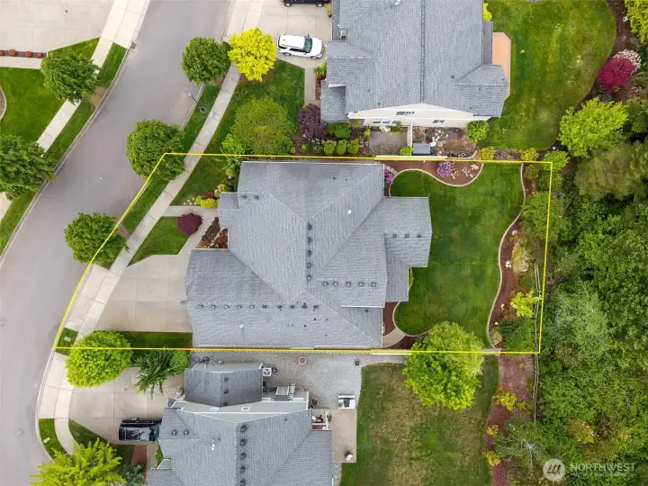 Professionally landscaped yard with concrete curbing