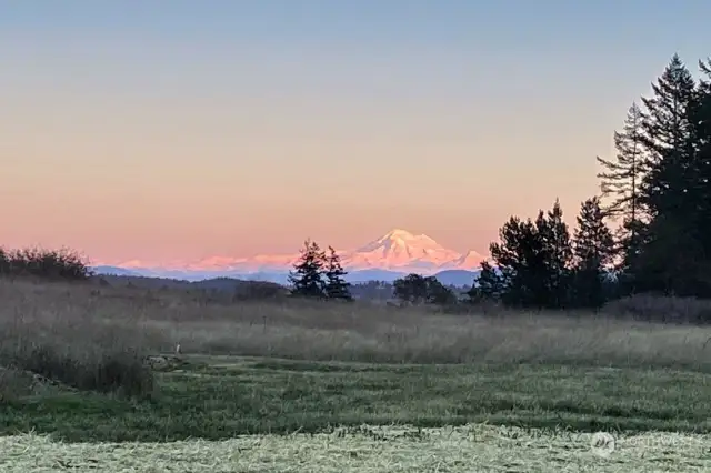 Glorious views of Mount Baker from back of house.