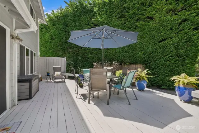 Exceptional outdoor deck space. Owners spend a ton of time here relaxing and bird watching.
