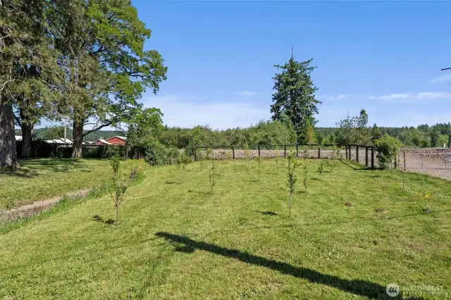 This property is thoughtfully designed featuring a new fruit orchard three spacious barns and a former milk house, all interconnected by well-planned holding pens and alleyways. Additionally, the outdoor arena area provides ample space for training, riding, or other agricultural activities, making this property a versatile choice for those seeking a move in ready country property. The newly planted fruit orchard features -  Row 1 (closest to road)   White Lilac   Purple Lilac   Row 2   Dwarf Comice Pear   Bartlett Pear   Semi Dwarf Granny Smith   Semi Dwarf Gala  Row 3   Semi Dwarf Shiro Plum   Santa Rosa Plum   Semi Dwarf Granny Smith   Semi Dwarf Gala  Row 4   Snow Queen Nectarine   Santa Rosa Plum   Semi Dwarf Fuji  Row 5   Semi Dwarf Fantasia Nectarine   Ultra Dwarf Shinseiki Asian Pear   Ultra Dwarf Shinseiki Asian Pear   Semi Dwarf Fuji  Row 6   Ultra Dwarf Early Elberta Peach   Ultra Dwarf Early Elberta Peach   Ultra Dwarf Early Elberta Peach  Row 7   Semi Dwarf Flavor King Pluo