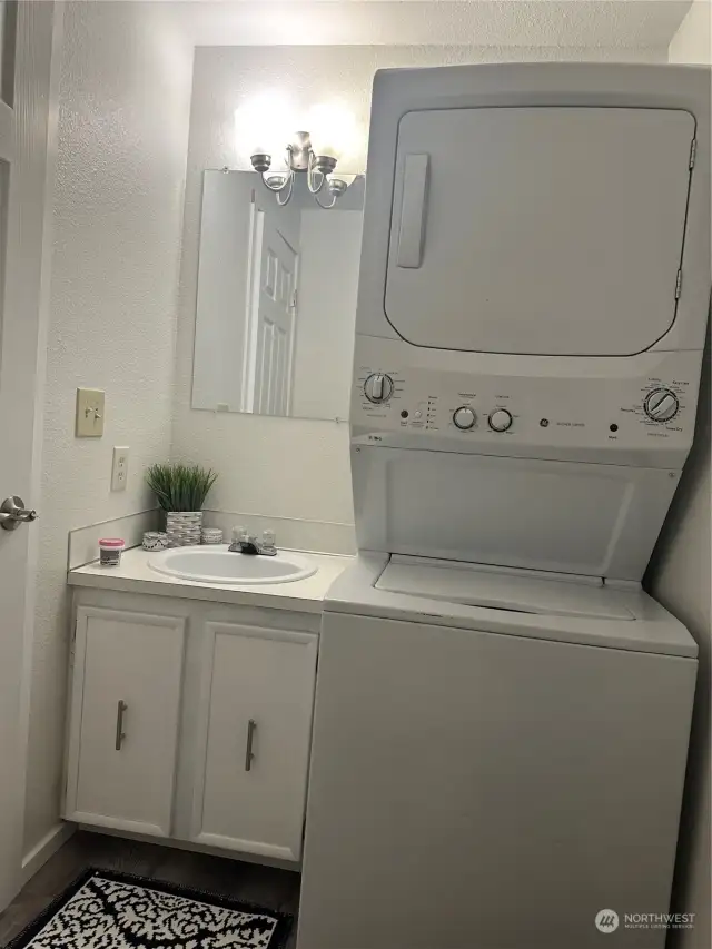 Downstairs bathroom with laundry