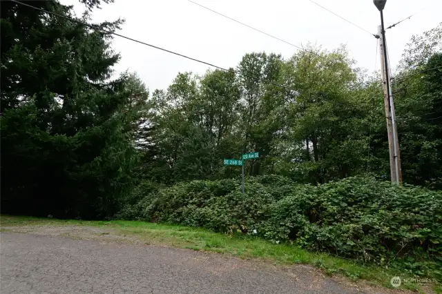 Access to back of property via 120th Ave SE and SE 268th St.