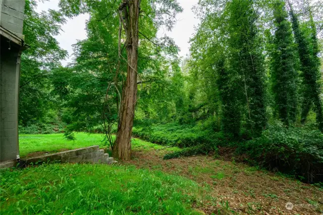 The West side of the frontage is a dedicated Sensitive Area Easement to the city of Kent. It begins at approximately where the follage begins.