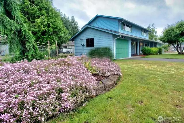 Lovely side garden