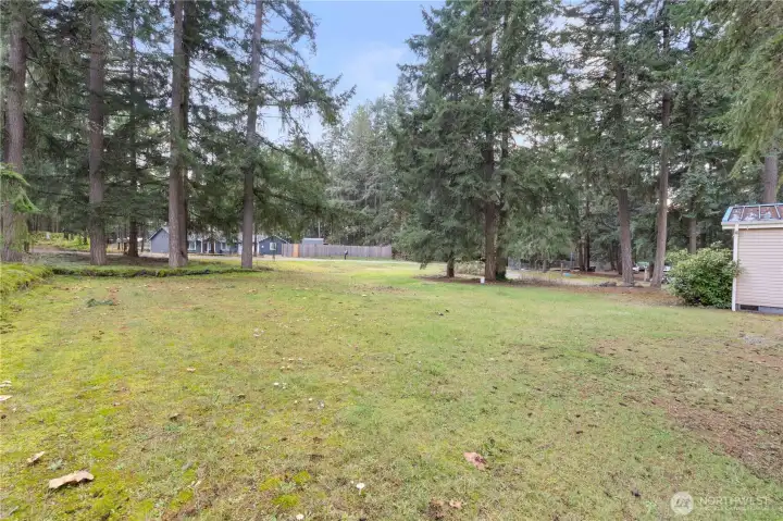 Expansive 1.22-acre level lot surrounded by towering evergreens, offering privacy, room to roam, and endless possibilities. Whether you imagine gardening, outdoor gatherings, pets, or future projects, this open stretch of land gives you the space to create it.