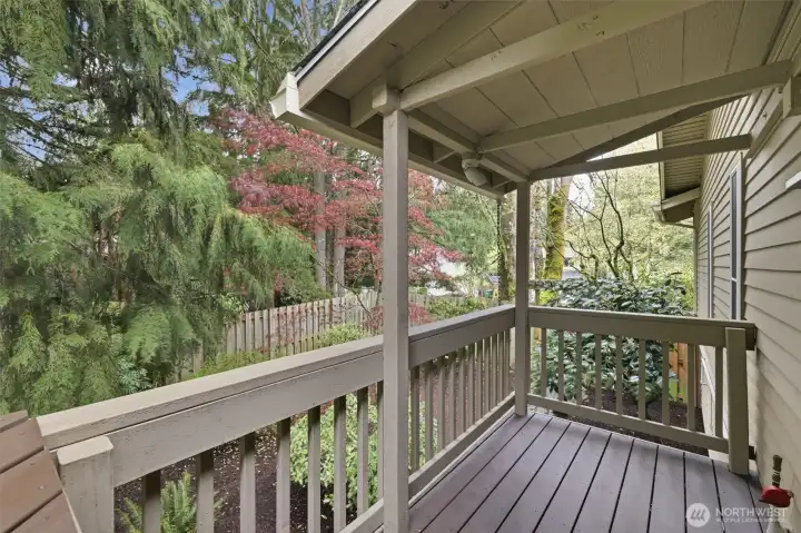 This is the covered bbq deck located right off of the kitchen.  Gas plumbed and totally private!