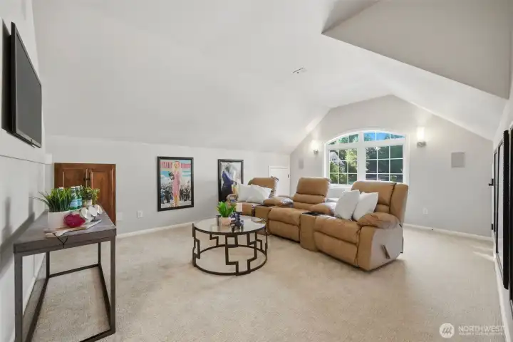 Full theatre! Movie posters and recliners included!