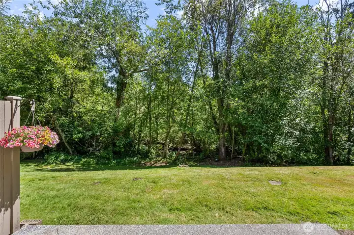 This is your backyard. A nice large grass space. Trees for shading. There is also a pond