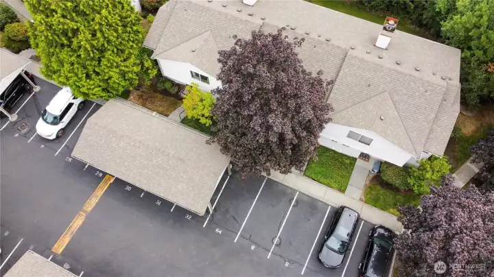 1 covered parking. 1 uncovered owned by H2