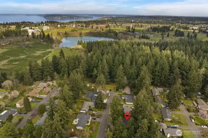 Al the end of Superior St, situated close to the middle of this photo, a narrow path leads directly into the trails of Fort Steilacoom Park. The sellers say that this is what they’ll miss most about this home.