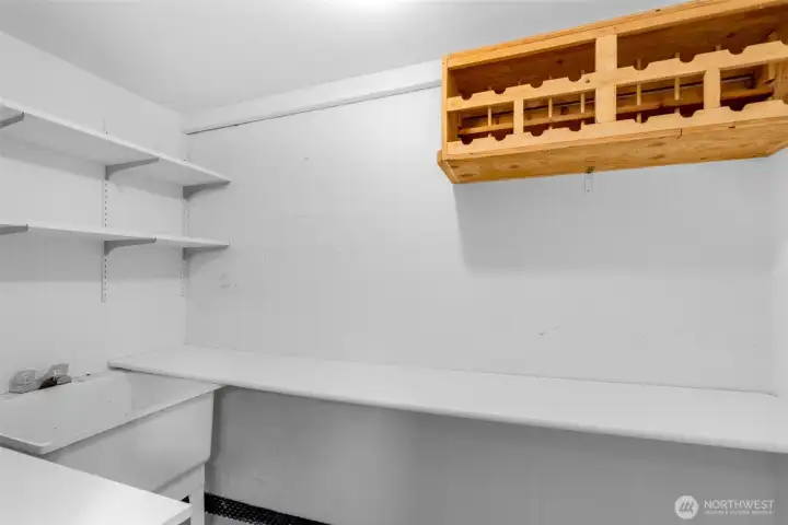 extra storage with utility sink