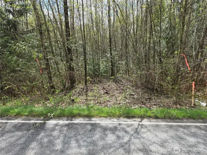 Driveway Apron, park here and walk - sign is here.