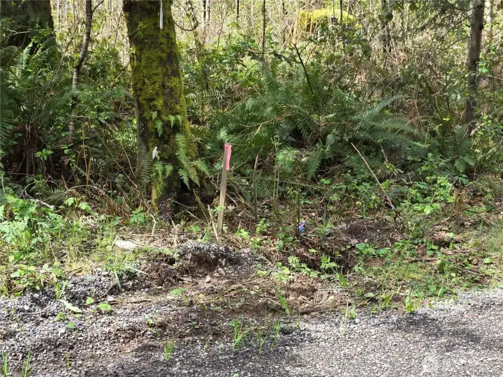 Appears to be the Southeast corner