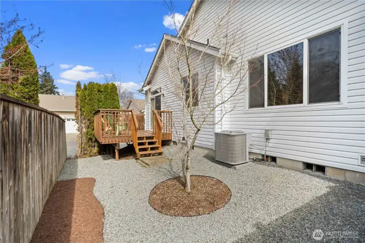 Updated backyard