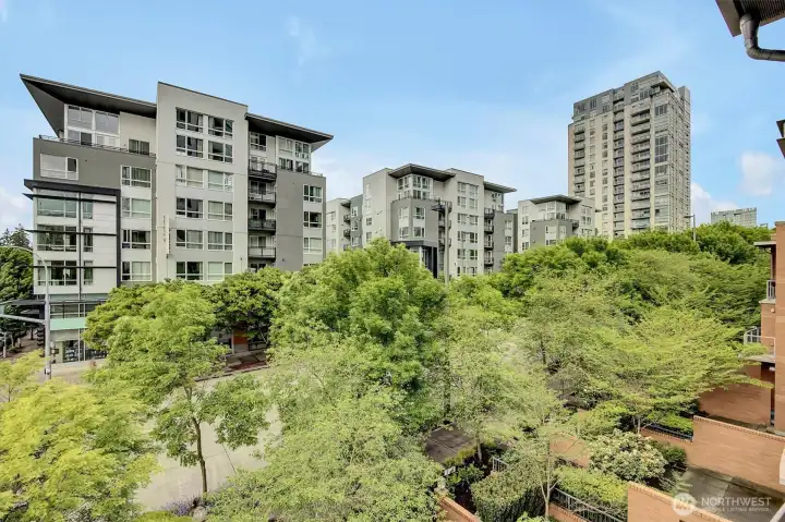 Neighborhood views!