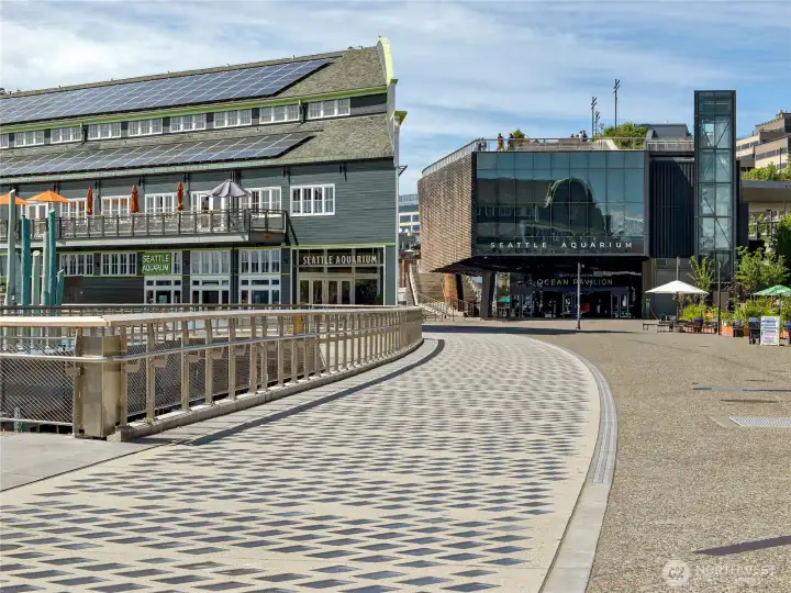 Steps from the brand-new Overlook Walk, seamlessly connecting you to Pike Place Market and the waterfront.